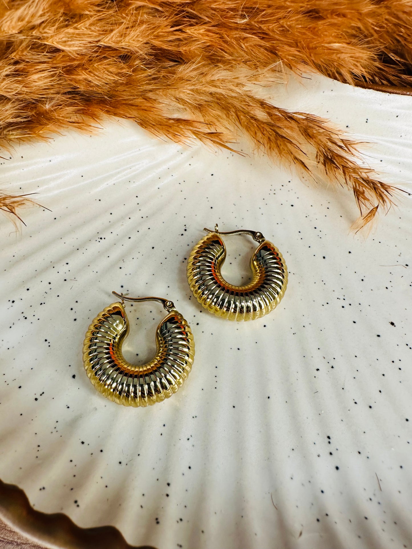HeyBae Gold Plated Big Hoop Round Earrings in Premium Gift Box
