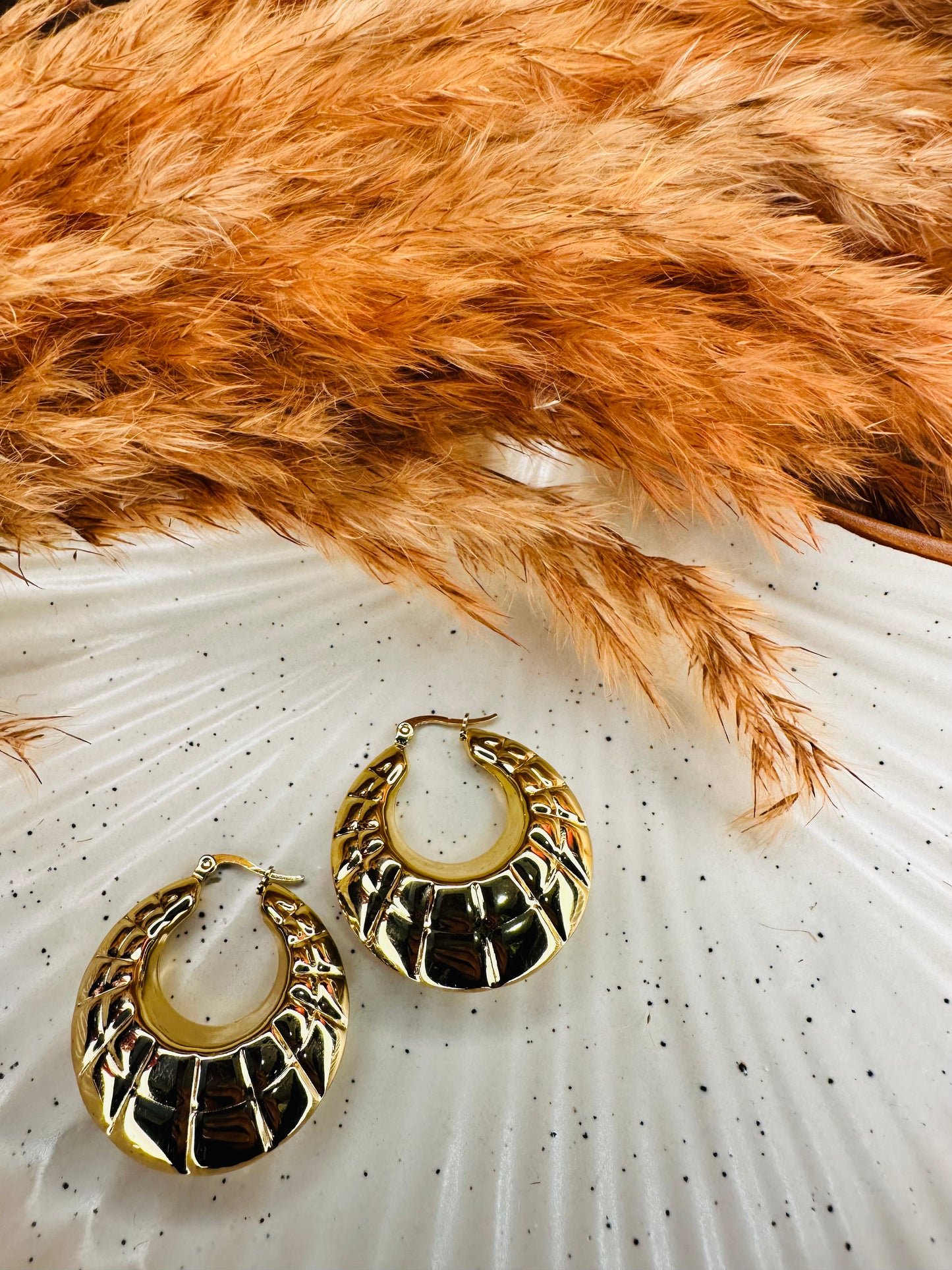 HeyBae Gold Plated Hoop Round Earrings in Premium Gift Box