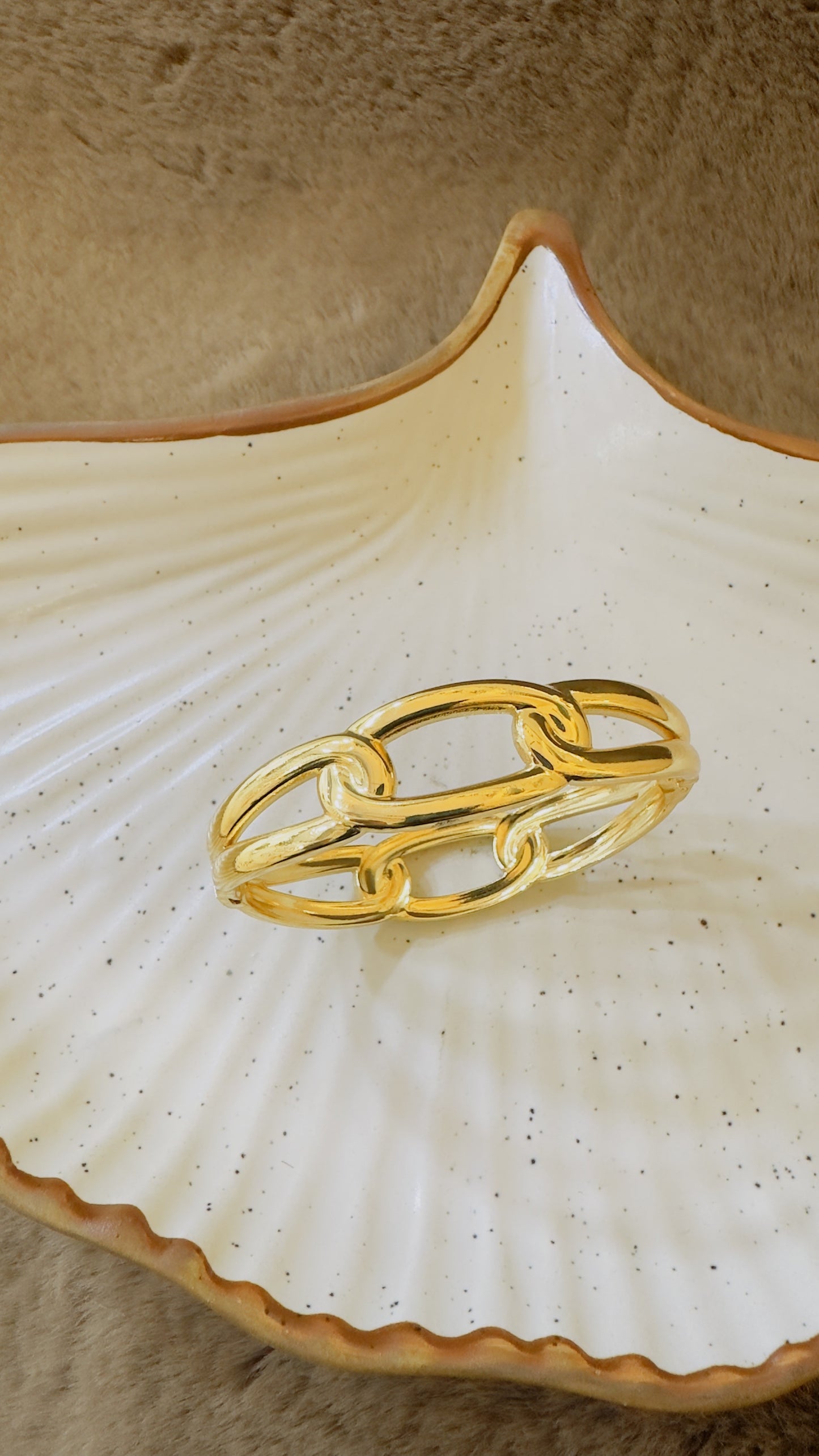 Gold plated chain bracelet on a seashell with a textured background