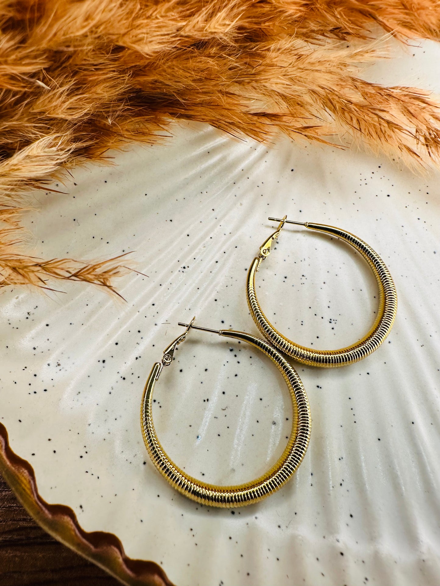 HeyBae Gold Plated Big Hoop Round Earrings for Women