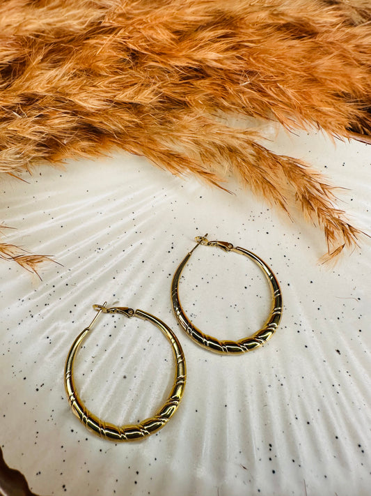 Front View of HeyBae Gold Plated Big Hoop Round Earrings for Women