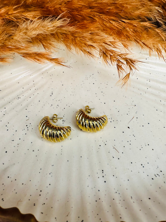 Flat Lay Display of HeyBae Gold Plated Hoop Earrings with Elegant Shine